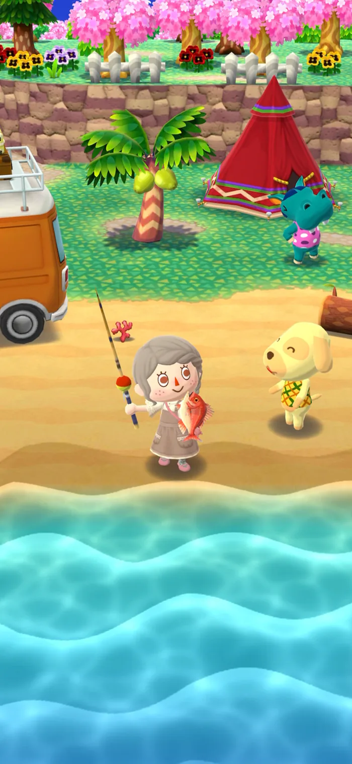 Una scena di pesca in Animal Crossing: Pocket Camp Complete: il proprio personaggio tira su un pesce dalla riva, accanto a un abitante cane in camicia ad ananas, con il camper, una tenda rossa e i ciliegi in fiore alle spalle.